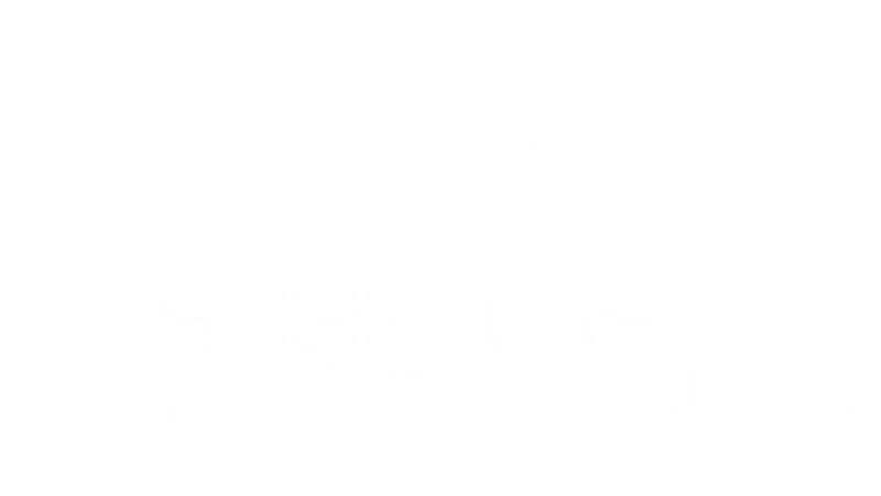 Ansa McAl
